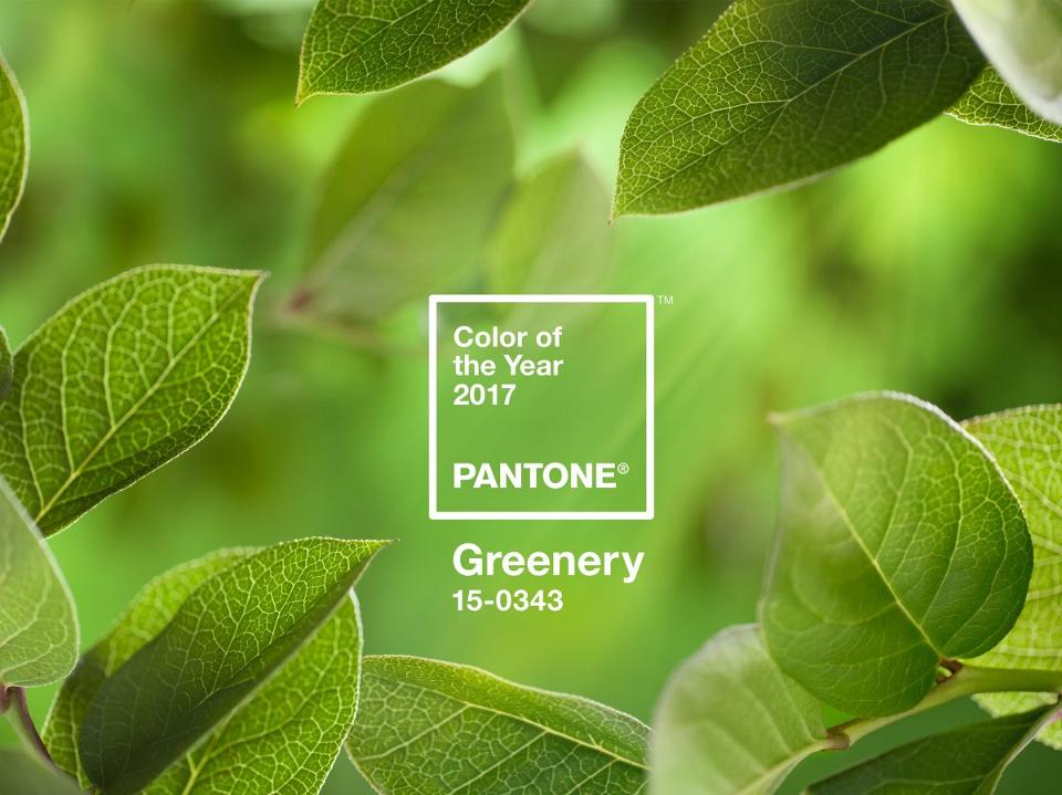 Pantone Color of the Year: ‘Greenery’ and Its Many Benefits