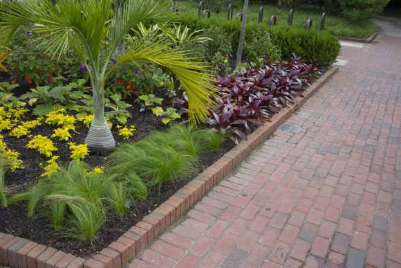 Repetition for effect: planting areas with a single plant create an effect of making an area seem larger.