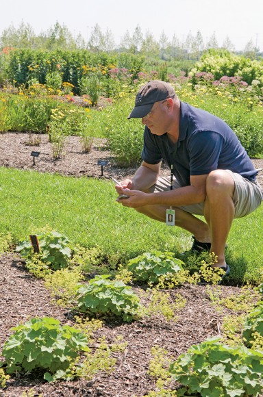 PHOTO: Richard Hawke crouches down, examining the progress of a cultivar planted at the Garden.