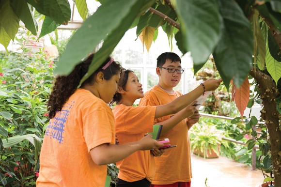 PHOTO: Orange-shirted middle schoolers examine palm trees and take data in the greenhouse.