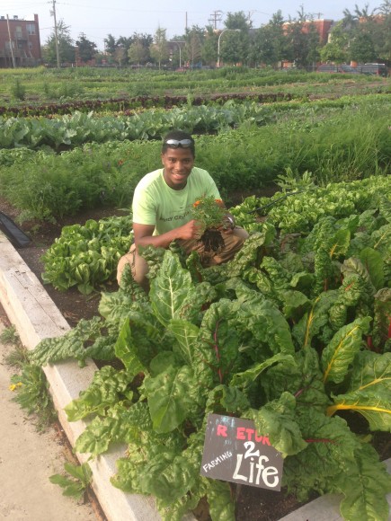 PHOTO: Stacey Kimmons of Return To Life Farming, a Windy City Harvest 2014 Apprenticeship Graduate.