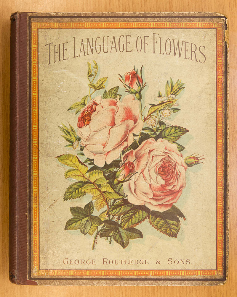 PHOTO: The Language of Flowers bookcover.