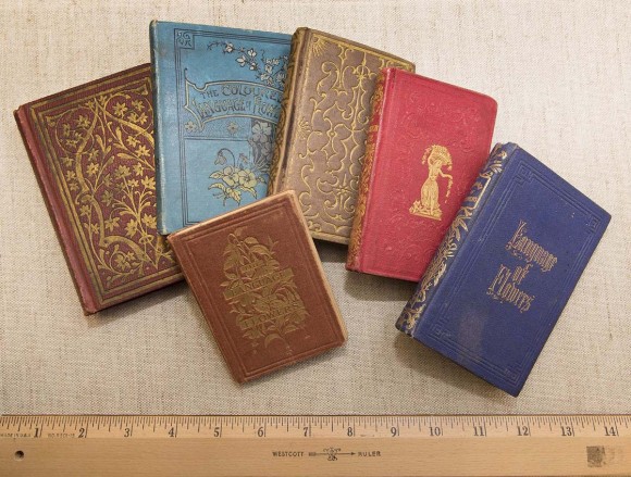 PHOTO: The tiny books of of The Language of Flowers.
