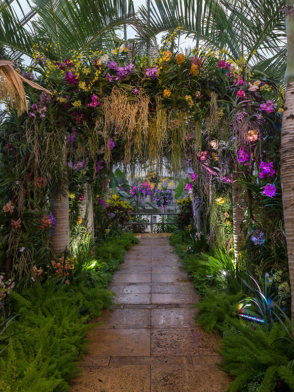 The Orchid Show displays in the Tropical Greenhouse.