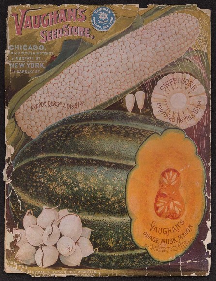 PHOTO: Cover of Vaughn's seed catalog, featuring Osage musk melon.