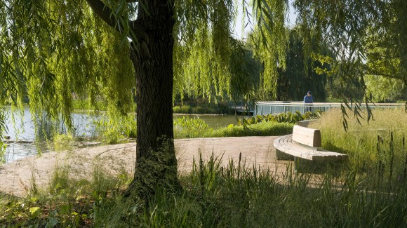 PHOTO: Willow tree at Dudley Point, at the Serpentine Bridge.