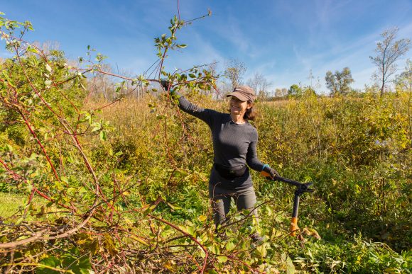 PHOTO: Amy Spungen out in the field, volunteering for Plants of Concern.