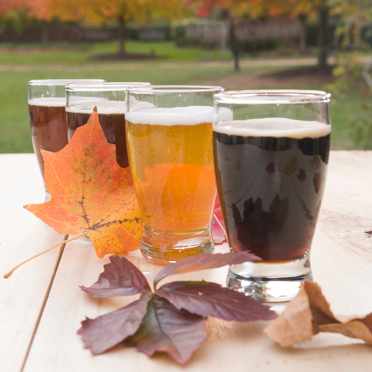 Pair your fall food with beer