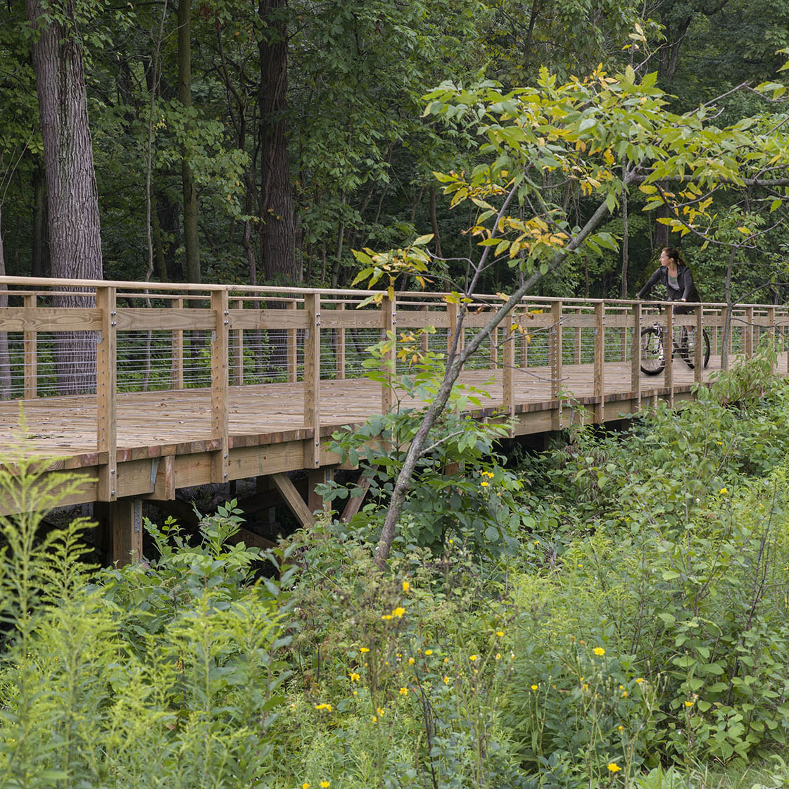 PHOTO: Woman riding bike across a bridge section of the bike path.