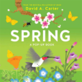 Book: Spring: A Pop-Up Book by David A. Carter.