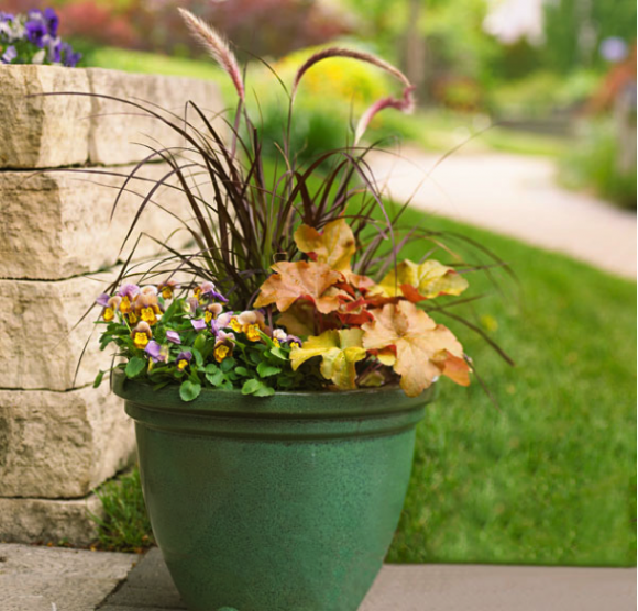 PHOTO: A fall container with grass, pansies, and heuchera, which comes in a host of leaf colors.