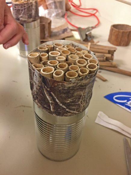 Step 1: placing the reeds. They will stick out of the can quite a bit, so you can extend the lip of the can with duct tape around the reed bundle.