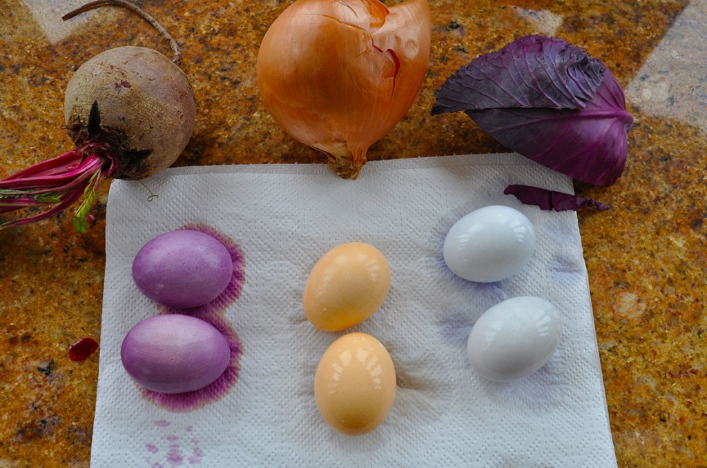 PHOTO: The vegetables we use, and their accomanying egg colors.