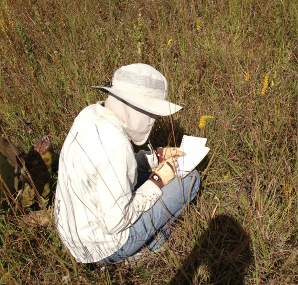 PHOTO: Anne crouched in the field on a sunny day, in sun hat and gardening gloves, scribbling notes.