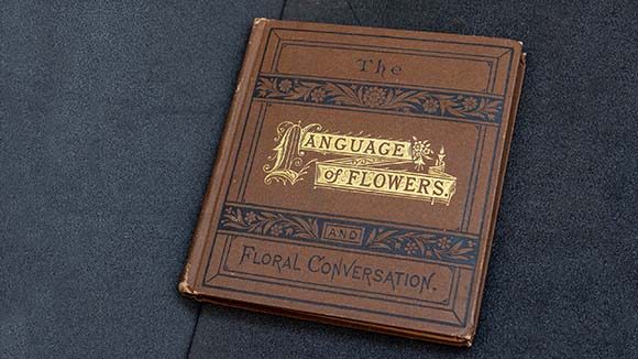 One of the smaller volumes of The Language of Flowers