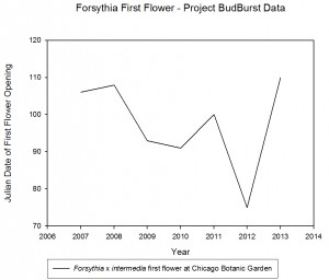 forsythia data