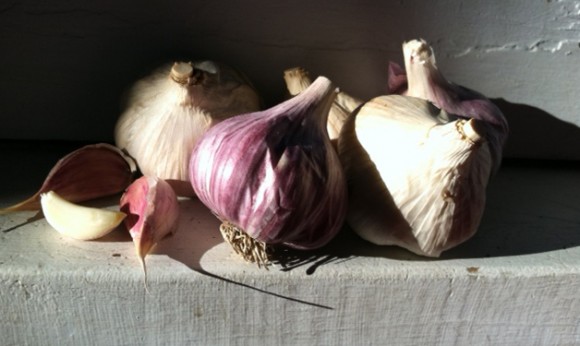 PHOTO: Garlic bulbs in storage on a shelf (with artful lighting).