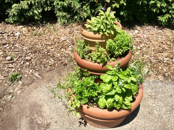 Lisa Hilgenberg's towering herb container. 
