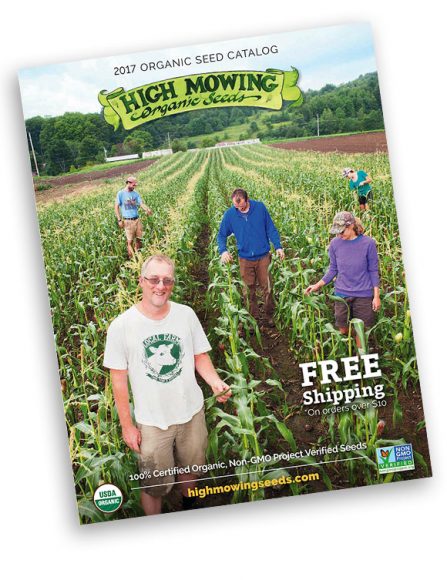High Mowing seed catalog