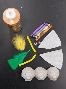 PHOTO: egg carton, crayons, googly eyes, coffee filters, feathers, pipe cleaners and glue.