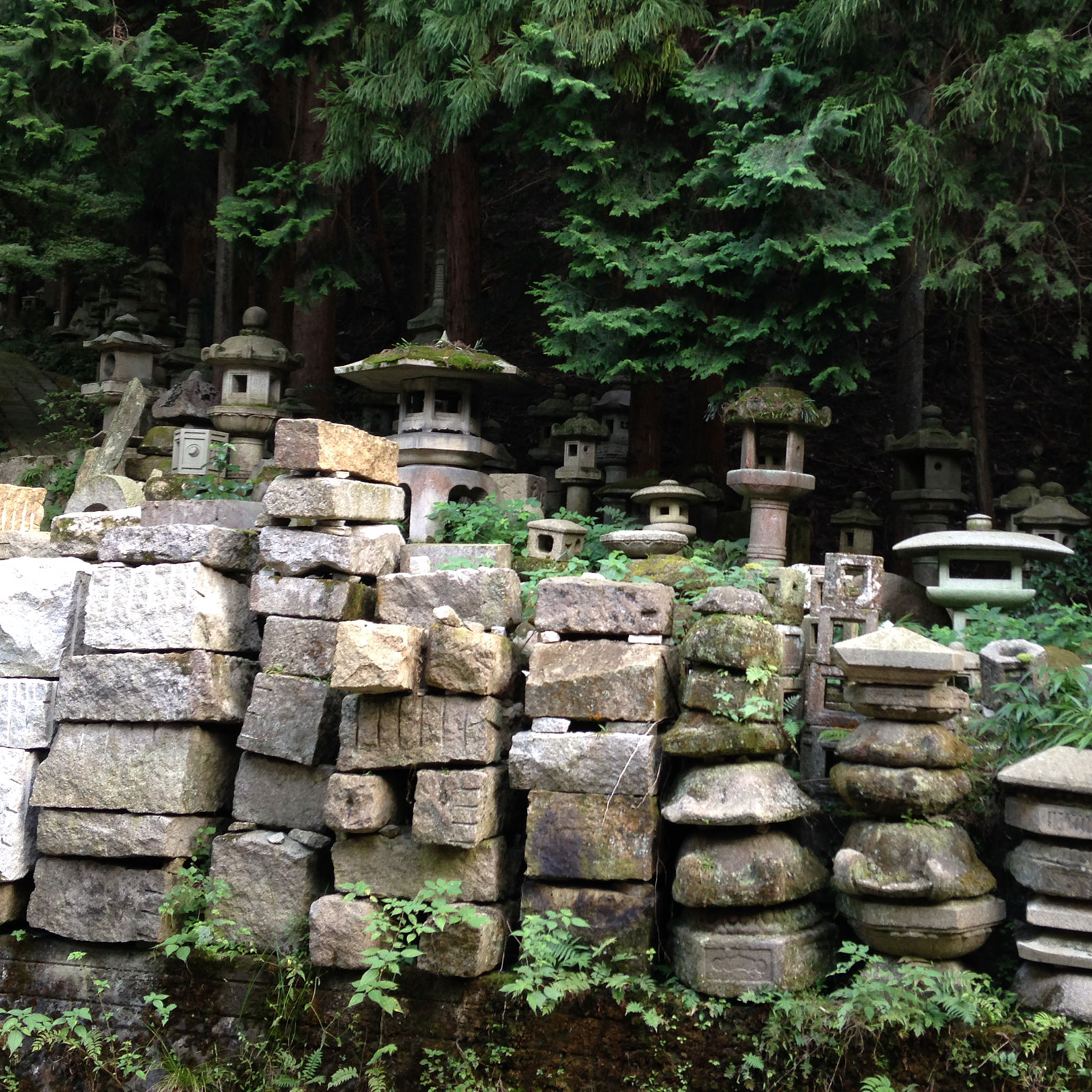 Postcards from Japan with horticulturist Ayse Pogue