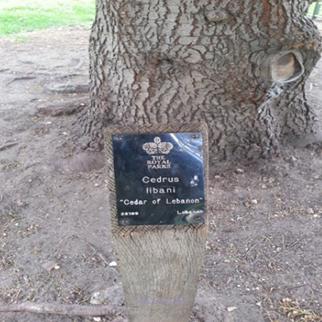 This label is mounted on a post at Royal Kew Gardens, London, England.
