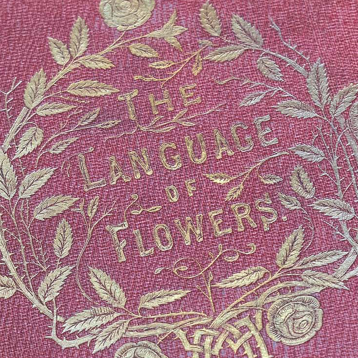 Original cover for The Language of Flowers