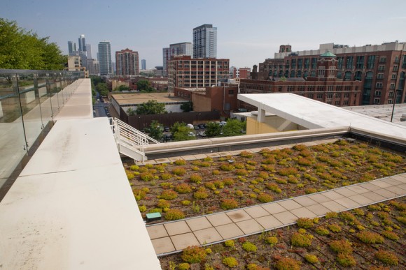 PHOTO: The roof of McCormick Place West planted with sedum