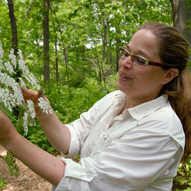 Youth Education | My Chicago Botanic Garden