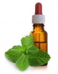 PHOTO: Peppermint extract.