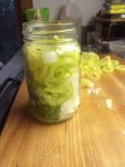 PHOTO: packed jars ready for pickle brine.