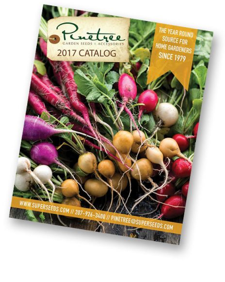 Pinetree Garden Seeds catalog