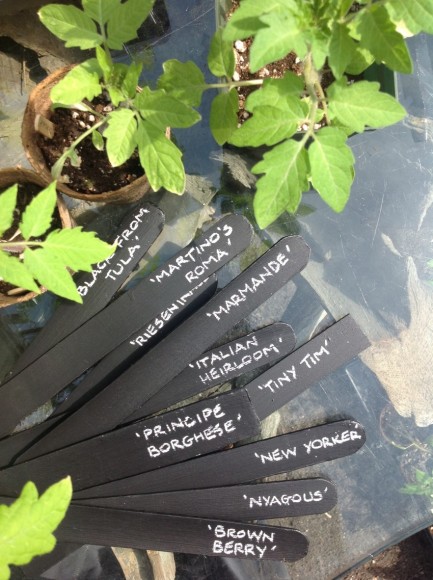 PHOTO: Pile of black plant markers with names inscribed.