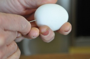 We used a straightened paperclip to poke holes in an egg for blowing.
