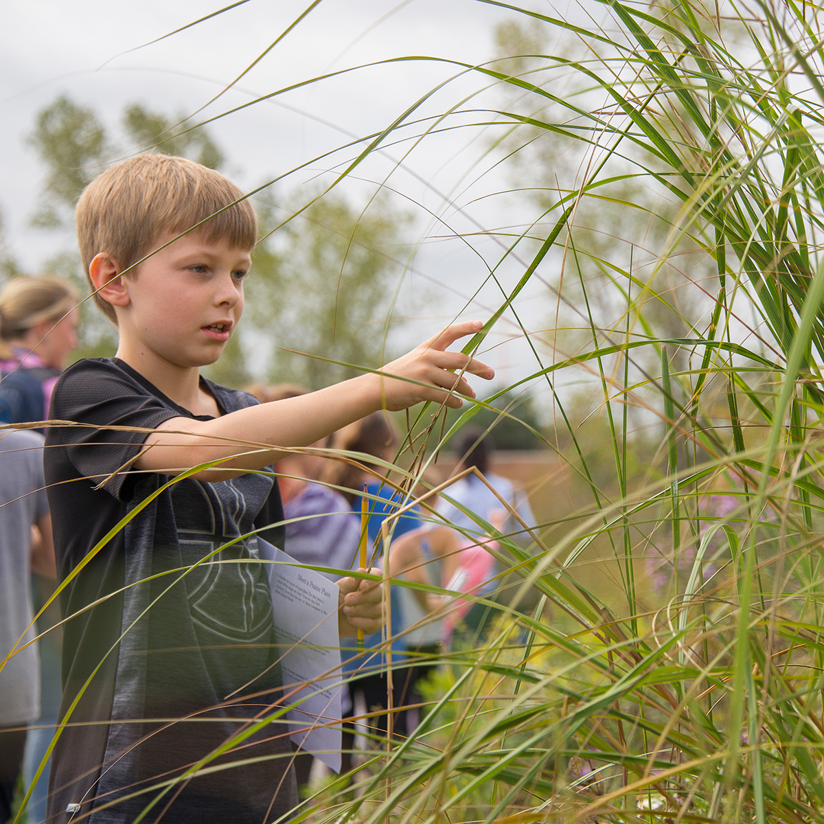 Kids become ecologists on Ms. Frizzle-worthy Garden field trips