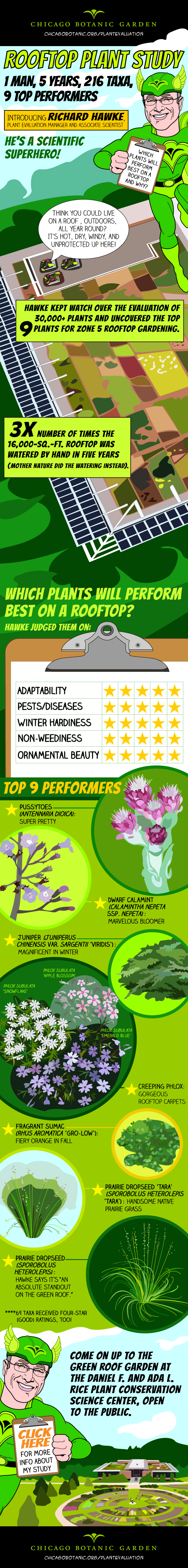 INFOGRAPHIC: Top 10 plants for green roof gardens.