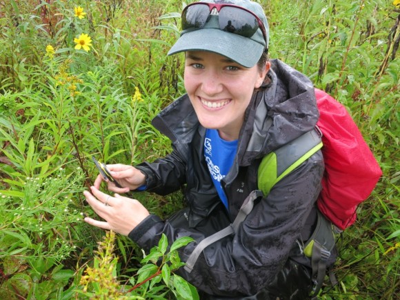 PHOTO: Clarie Ellwanger measures orchid seed pods in the field.