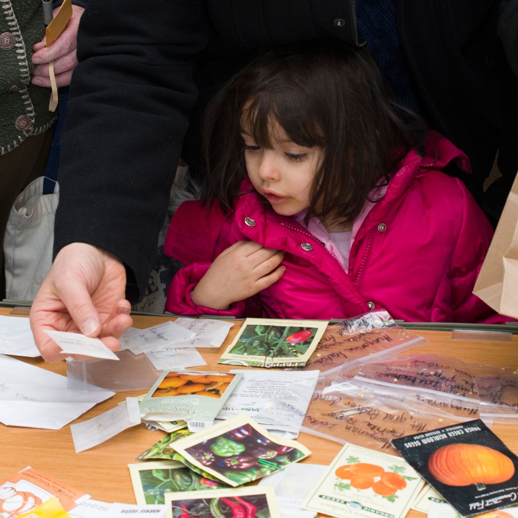 Seed Library opening soon at the Chicago Botanic Garden
