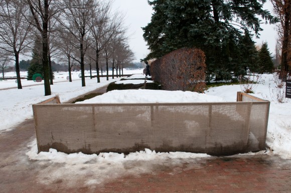 PHOTO: a burlap fence protects the Esplanade hedge from wind and deicing grit.