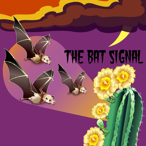 ILLUSTRATION: Bats fly in to pollinate a cactus.