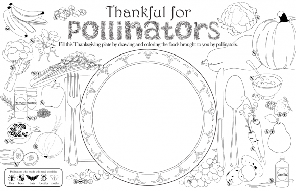 PHOTO: Thanksgiving placemat to color and match pollinators to the food they produce.