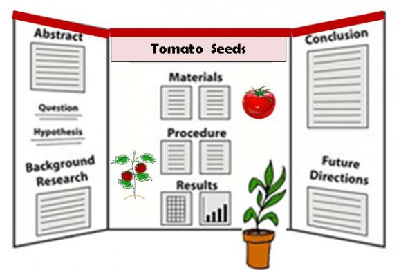 tomato project