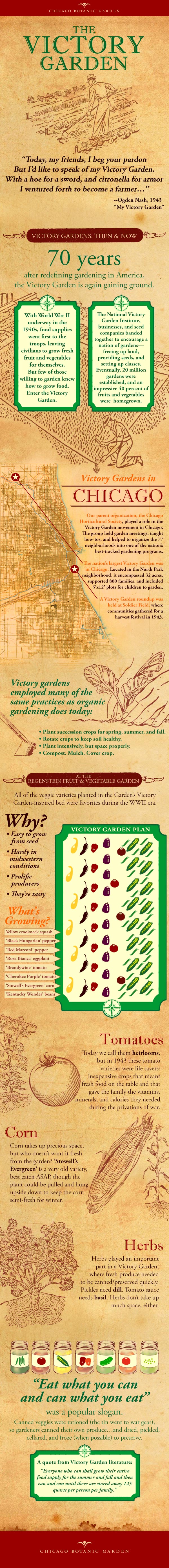 An infographic about Victory Gardens