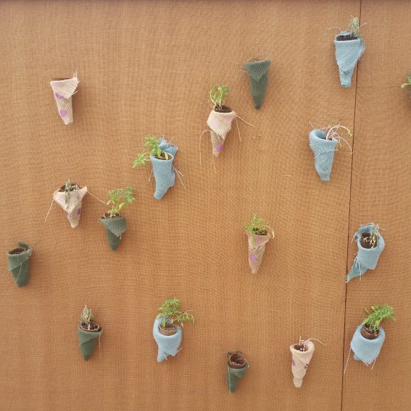PHOTO: sixteen cone-shaped pockets containing small plants are displayed on the brown walls.