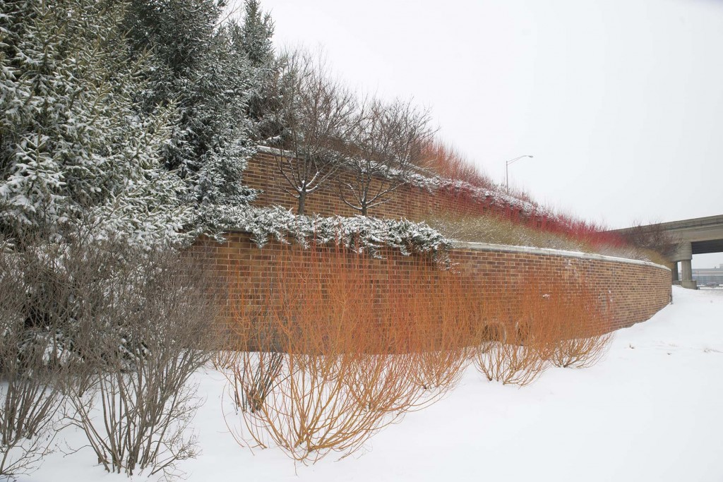 PHOTO: The Garden Wall in winter, looking south towards Dundee entrance ramp.