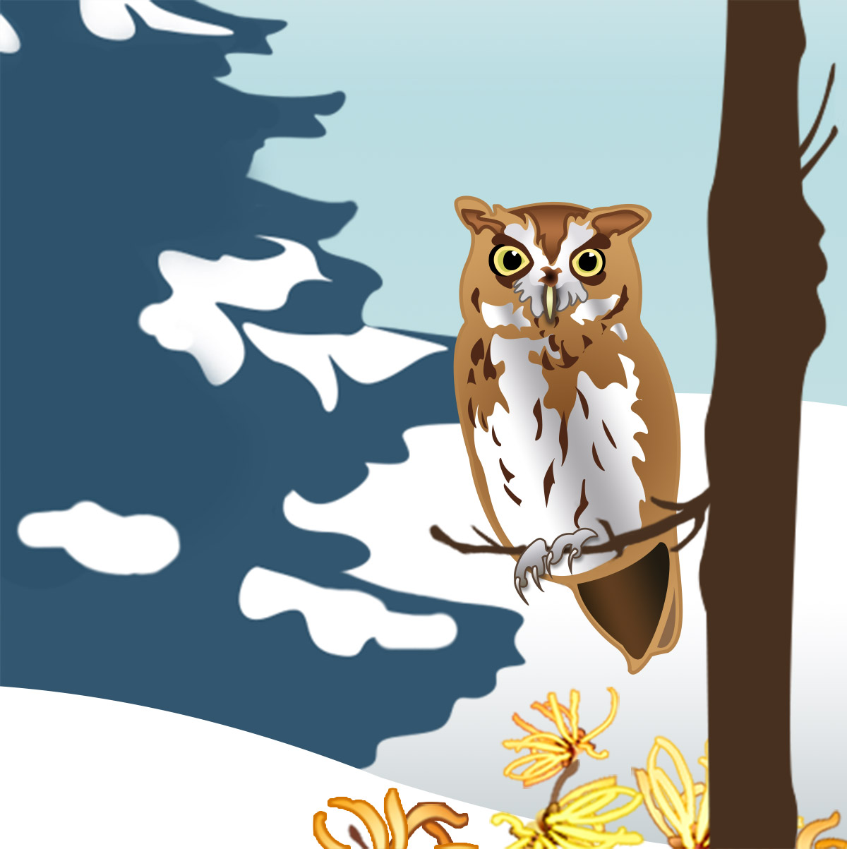 ILLUSTRATION: Owl in winter.
