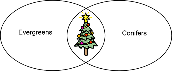 PHOTO: Venn diagram showing a christmas tree in the intersection of the sets "evergreens" and "conifers."